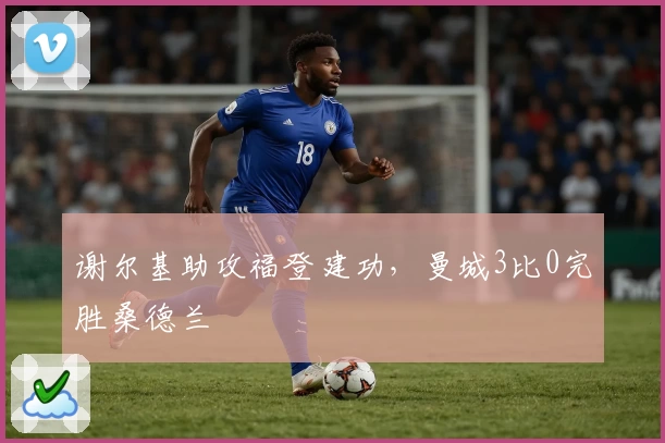 谢尔基助攻福登建功，曼城3比0完胜桑德兰